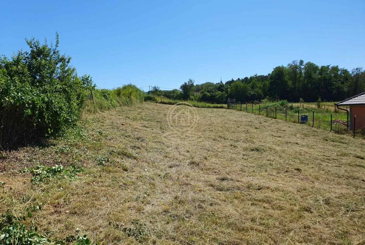 Prodaja, plac, 90000m², Bocke, Petrovaradin