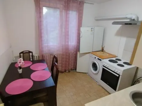 Izdavanje, dvosoban stan, 47m², Detelinara, Novi Sad Sve Podlokacije - image 6