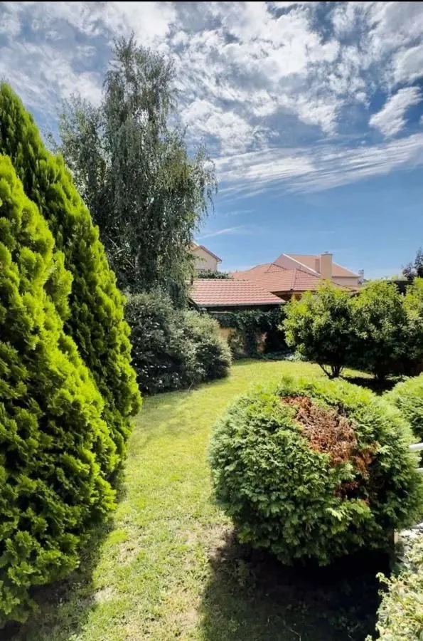 Sale, office space, 720m², Berbersko staro, Zrenjanin