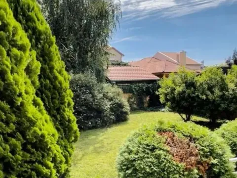 Prodaja, poslovni prostor, 720m², Berbersko novo, Zrenjanin - image 4