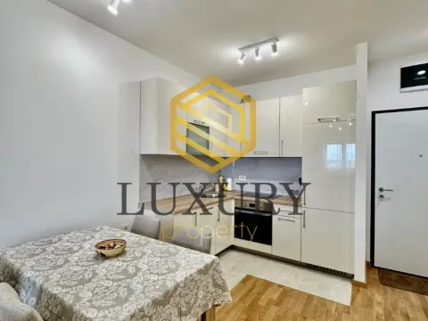 Izdavanje, jednosoban stan, 47m², Stari Aerodrom, Podgorica - image 13