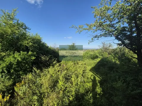 Prodaja, kuća, 56m², Kolonija, Jagodina - image 23