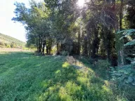 Sale, land lot, 1797m², lalevići, Danilovgrad - image 4