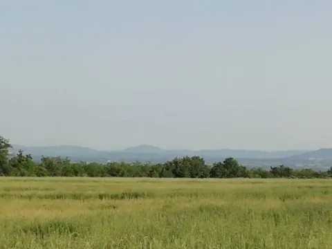 Prodaja, plac, 19500m², Koraćica, Mladenovac - image 12