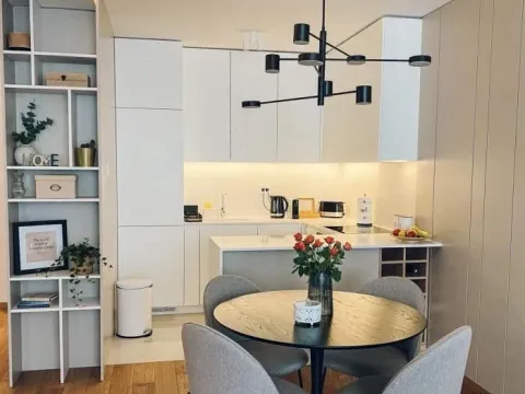 Izdavanje, dvosoban stan, 52m², Grbavica, Novi Sad Sve Podlokacije - image 3