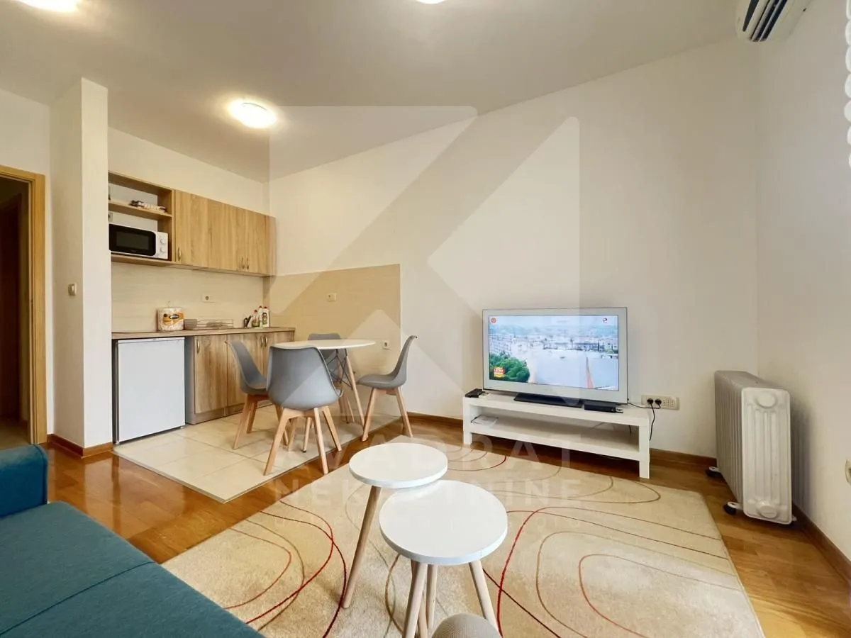 Rent, studio apartment, 26m², Blok 6, Podgorica