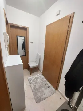 Izdavanje, jednosoban stan, 55m², Stari Aerodrom, Podgorica - image 5