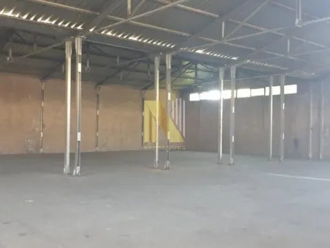 Izdavanje,  poslovni prostor, 700m2, Veternik, Novi Sad, Novi Sad