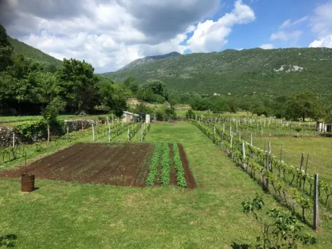 Zasađeni vrt i vinograd sa pogledom na planine. - image 4