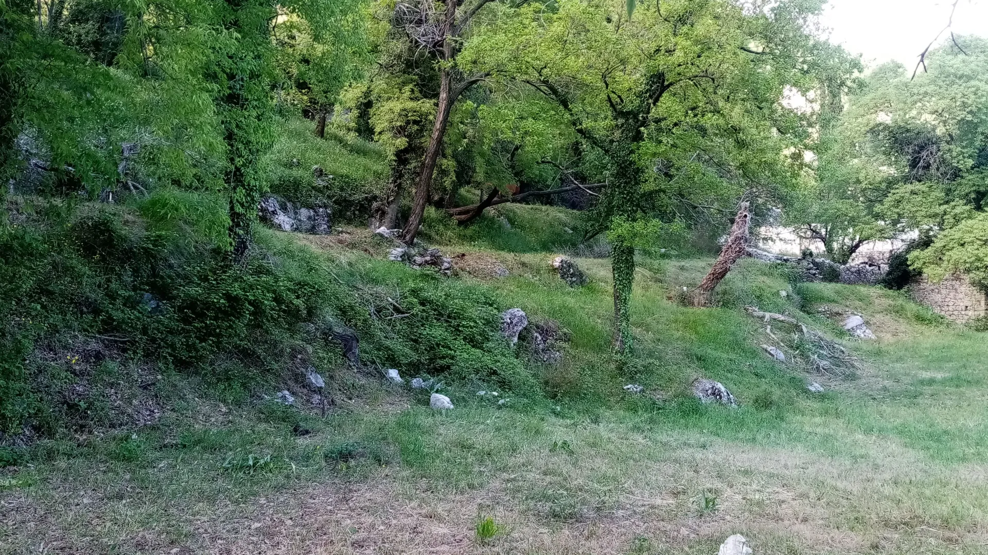 Prodaja, plac, 4700m², Dobrsko Selo, Cetinje