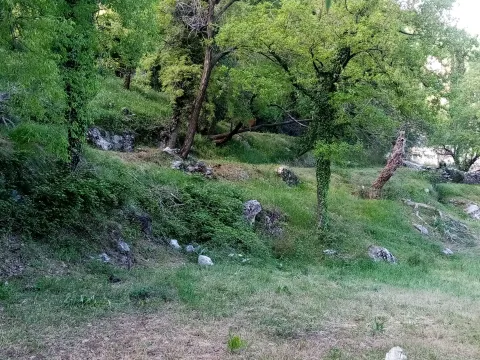 Prodaja, plac, 4700m², Dobrsko Selo, Cetinje - image 3