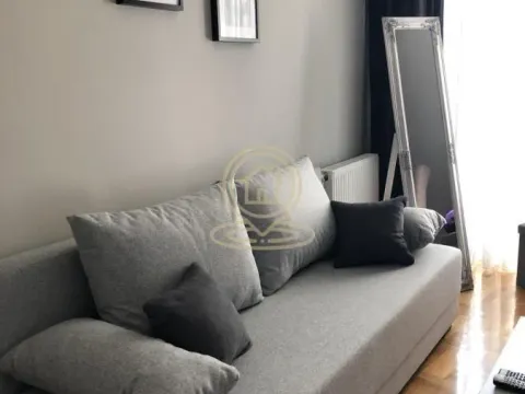 Rent, one bedroom apartment, 30m², Grbavica, Novi Sad Sve Podlokacije - image 2