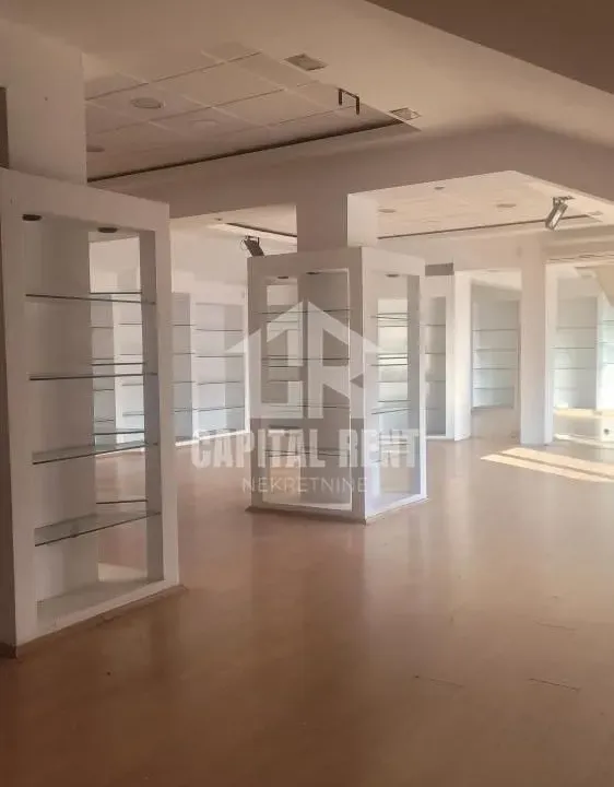 Rent, office space, 570m², Dušanovac, Voždovac Sve Podlokacije