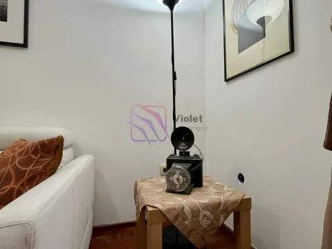 Izdavanje, jednosoban stan, 44m², Stari Aerodrom, Podgorica - image 5