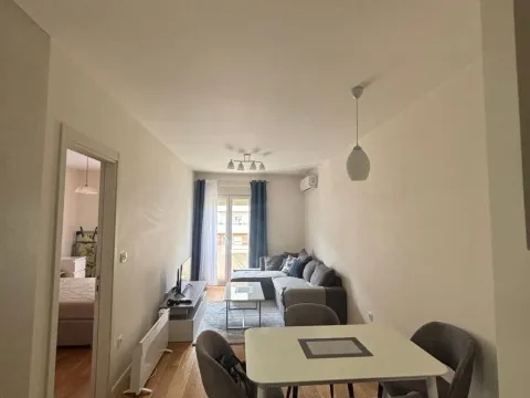 Rent, one bedroom apartment, 43m², Central Point, Podgorica - image 6