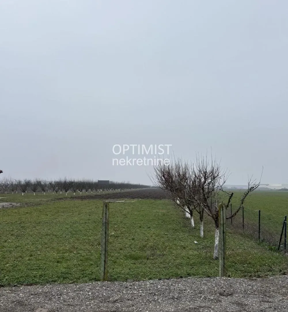 Prodaja, plac, 11000m², Zemun Ugrinovci, Zemun Sve Podlokacije
