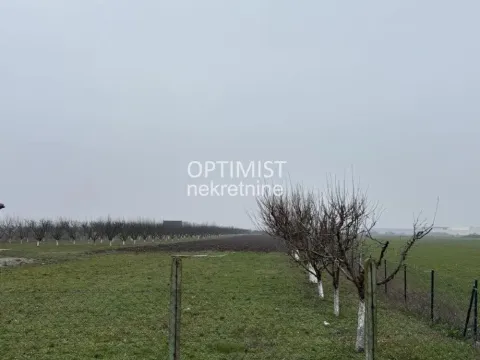 Sale, land lot, 11000m², Zemun Ugrinovci, Zemun Sve Podlokacije - image 8