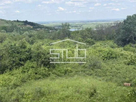 Prodaja, plac, 12400m², Grocka, Beograd - image 2