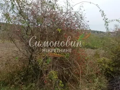 Prodaja, plac, 17600m², Krstašice, Irig - image 7