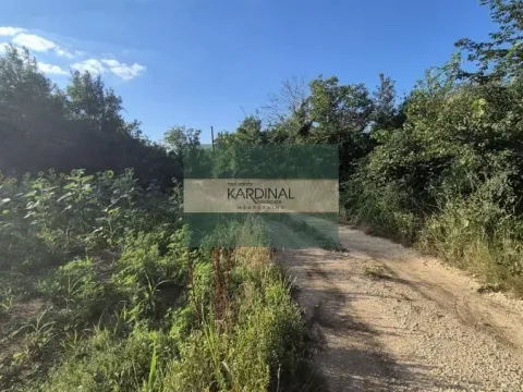 Prodaja, kuća, 56m², Kolonija, Jagodina - image 22