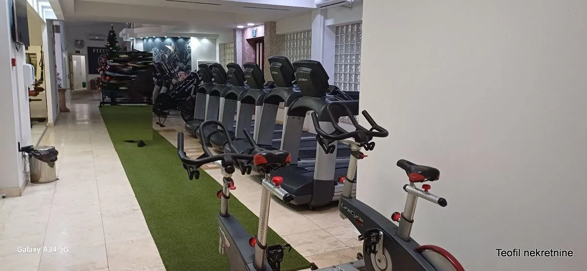 Prodaja, poslovni prostor, 1000m², Vračar, Šid