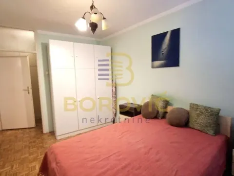 Izdavanje, jednosoban stan, 50m², Vračar Hram, Vračar Sve Podlokacije - image 4