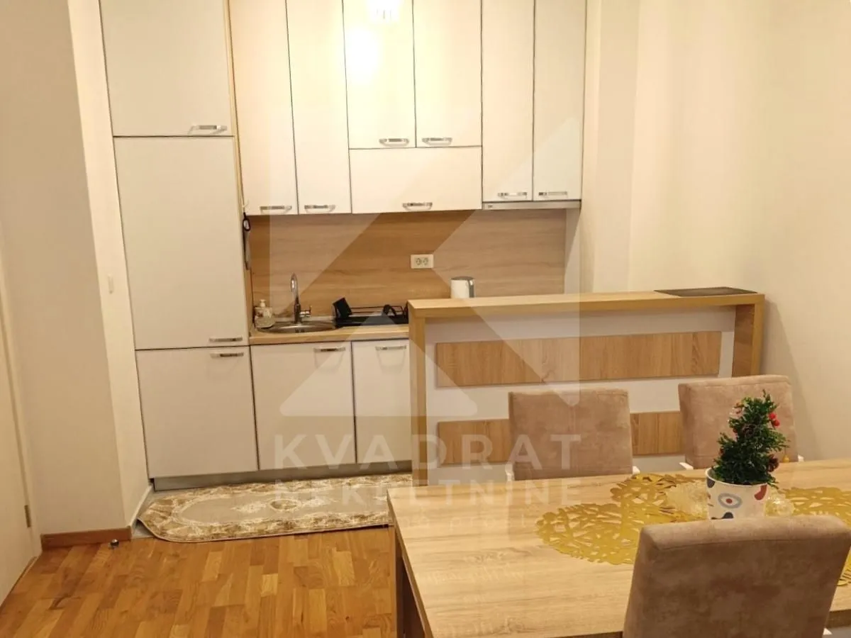 Rent, one bedroom apartment, 48m², Stari Aerodrom, Podgorica