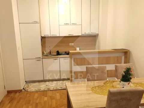Rent, one bedroom apartment, 48m², Stari Aerodrom, Podgorica - image 2