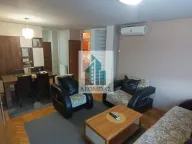 Izdavanje, dvosoban stan, 60m², Palilula, Niš - image 3