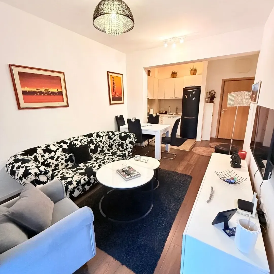 Rent, one bedroom apartment, 48m², Vezirov Most, Podgorica