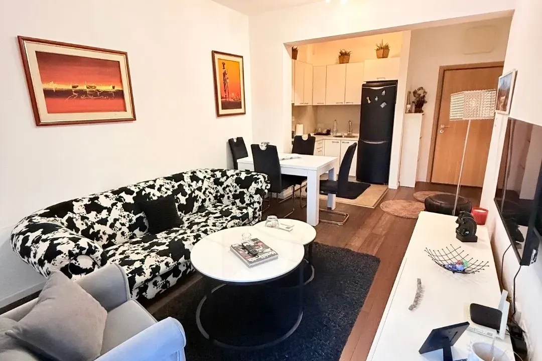 Izdavanje, jednosoban stan, 48m², Vezirov Most, Podgorica