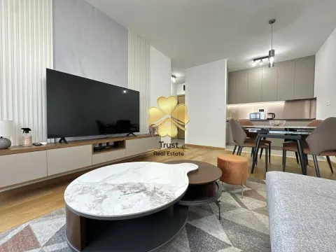 Izdavanje, jednosoban stan, 50m², Podgorica, Crna Gora - image 3