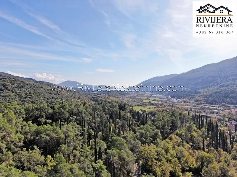 Prodaja, plac, 33385m², Sutorina, Herceg Novi