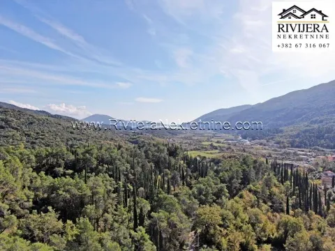 Prodaja, plac, 33385m², Sutorina, Herceg Novi - image 2