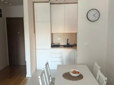 Izdavanje, jednosoban stan, 40m², Central Point, Podgorica - image 17