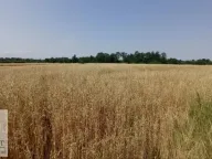 Prodaja, plac, 90m², Konatice, Obrenovac - image 5