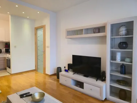 Izdavanje, jednosoban stan, 50m², Preko Morače, Podgorica - image 5