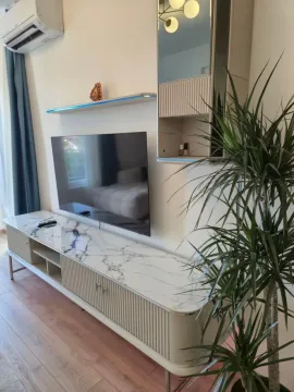 Living room with a TV, sideboard, and houseplants. - image 6