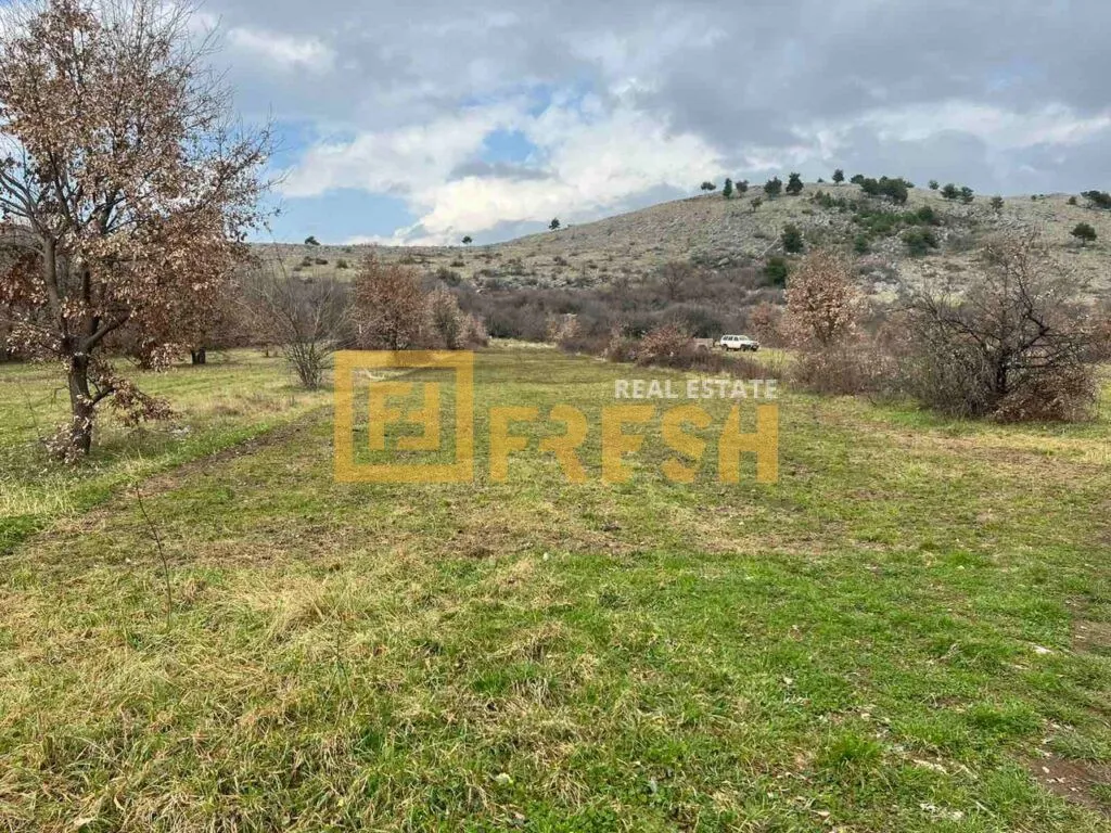 Prodaja, plac, 1000m², Ostalo, Podgorica
