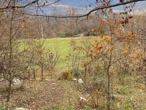 Prodaja, plac, 75000m², Zagreda, Danilovgrad - image 2