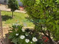 Prodaja, trosoban stan, 60m², Sutomore, Bar - image 2