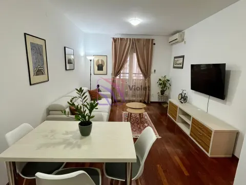 Izdavanje, jednosoban stan, 44m², Stari Aerodrom, Podgorica - image 7