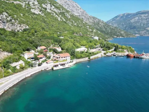 Sale, land lot, 7000m², Lipci, Kotor - image 4