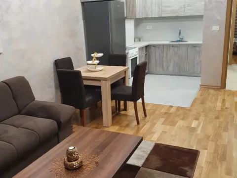 Rent, one bedroom apartment, 54m², Zabjelo, Podgorica - image 3