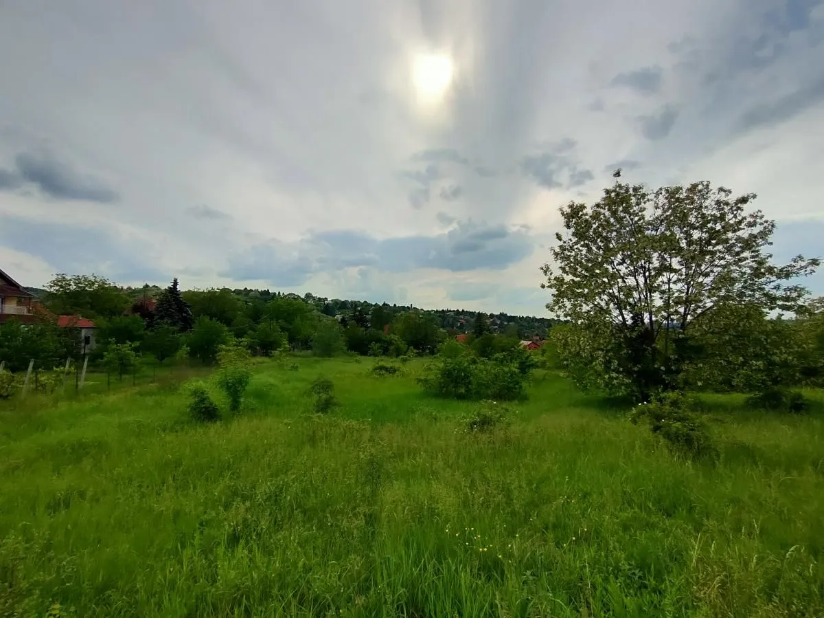 Prodaja, plac, 5000m², Ledinci, Petrovaradin