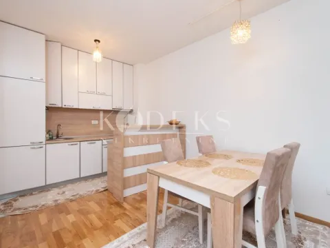 Izdavanje, jednosoban stan, 46m², Stari Aerodrom, Podgorica - image 3