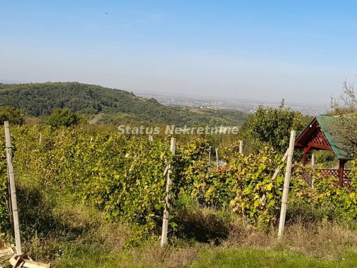 Prodaja, plac, 2900m², Ledinci, Petrovaradin
