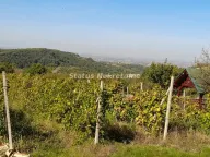 Sale, land lot, 29m², Ledinci, Petrovaradin - image 2