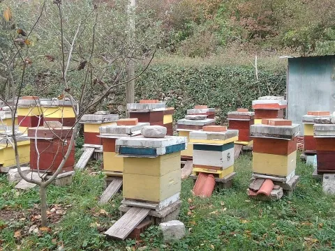 Prodaja, plac, 669m², Kamenovo, Budva - image 8