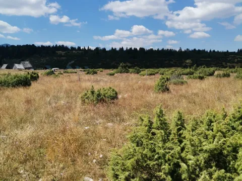 Prodaja, plac, 36000m², Žabljak, Crna Gora - image 2